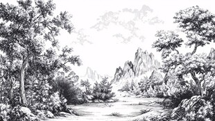 黑白山林风景手绘插画