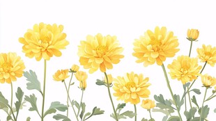 黄色菊花花卉装饰图案