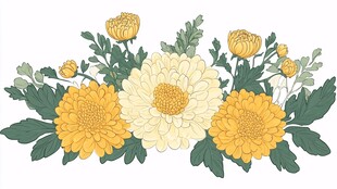 黄色菊花花卉插画