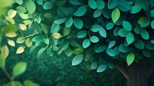 翠绿树叶下的生机景象