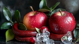 红苹果与蛇的神秘静物组合