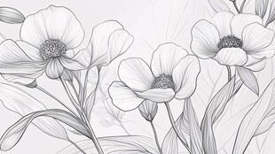 黑白花卉线条插画