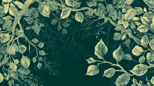 复古风绿植枝叶背景图