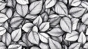 黑白叶脉图案背景纹理