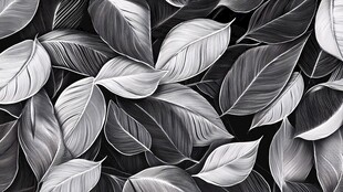 黑白叶片无缝图案背景