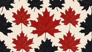 枫叶图案背景设计素材