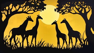 夕阳下的长颈鹿剪影