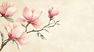 粉色玉兰花枝优雅绽放