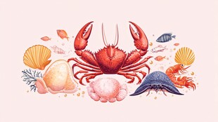 可爱螃蟹与多彩海洋生物