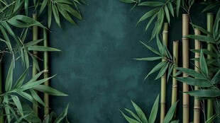 翠竹环绕的深绿背景空间