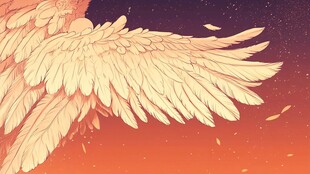 梦幻羽翼 闪耀神秘光芒