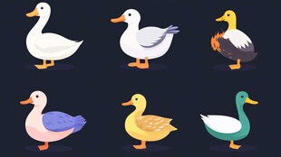 可爱多彩鸭子插画集合