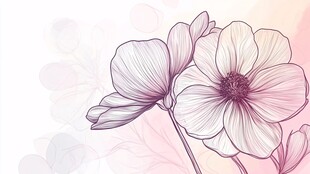 手绘淡粉花朵优雅插画
