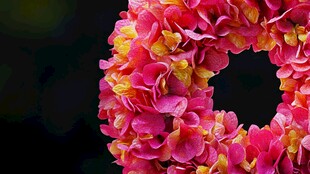 粉色绣球花环特写