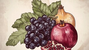 复古风水果插画组合