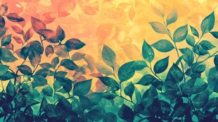 多彩叶景 清新自然背景图