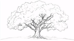 手绘单棵大树线稿图