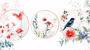 花卉飞鸟水彩插画三图组