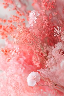 梦幻粉色系花卉特写