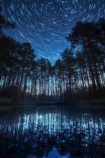 森林湖畔星轨梦幻夜景
