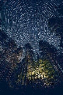 森林上空的梦幻星轨奇观