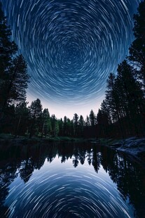 湖畔星空下的静谧森林