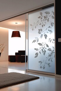 简约居室中带花纹的玻璃门