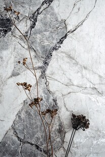 大理石上的枯萎花枝