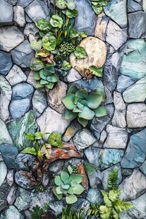 石墙上的多肉绿植景观