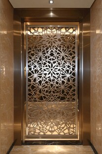 奢华金属雕花电梯门设计