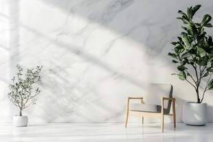 简约室内绿植与舒适座椅