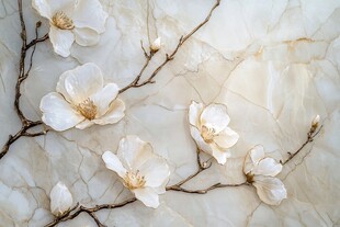 玉兰花枝装点大理石背景