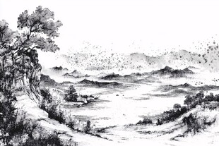 水墨山水景 飞鸟伴山川