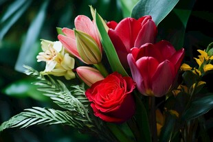 多彩鲜花组合 尽显自然之美