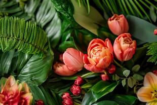 娇艳花卉与翠绿叶片组合