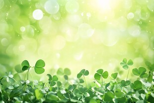 春日嫩绿三叶草梦幻背景