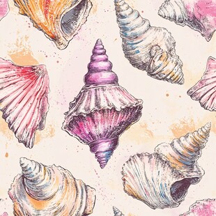 水彩绘多彩贝壳图案
