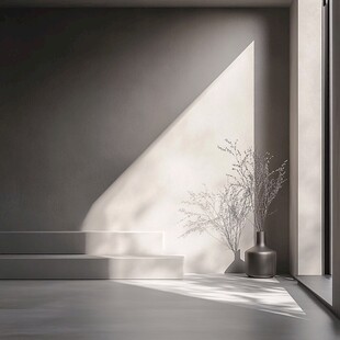 简约室内光影与植物景致