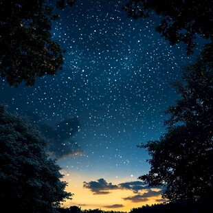 森林上空的璀璨星空夜景