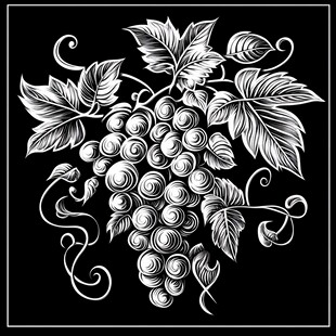 黑白葡萄藤蔓装饰图案