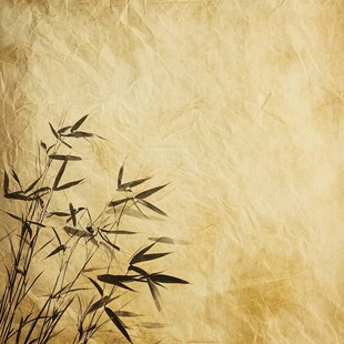古风竹叶纹理背景图