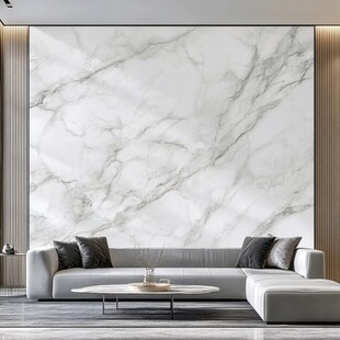 现代客厅的大理石背景墙