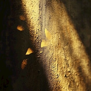 光影下斑驳墙面的独特美