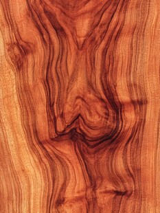 独特纹理的精美木质图案