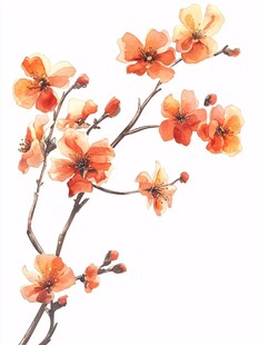 橙红色花卉枝条水彩画