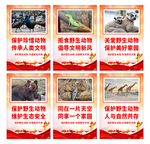 保护野生动物标语