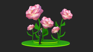 花艺DP点设计