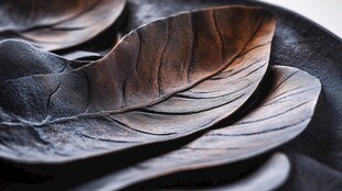 金属质感树叶形艺术餐具