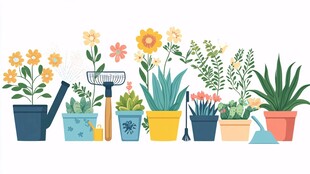 多彩盆栽与园艺工具组合