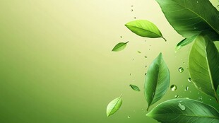 清新绿叶 水珠灵动画面